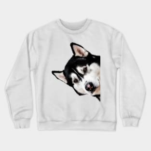 Malamute Peekaboo Crewneck Sweatshirt